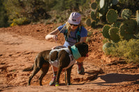 Ruffwear Swamp Cooler Harness - Final Sale*